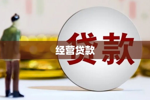 水林经营贷款