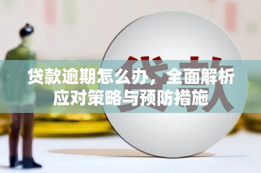 水林贷款逾期怎么办，全面解析应对策略与预防措施