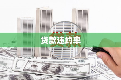 水林贷款违约率