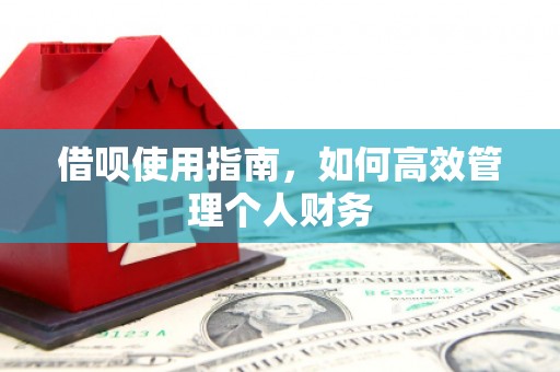 水林借呗使用指南，如何高效管理个人财务