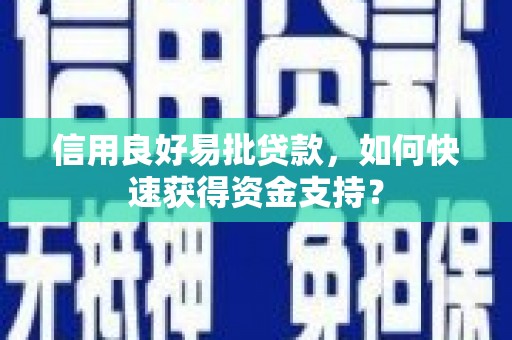 水林信用良好易批贷款，如何快速获得资金支持？