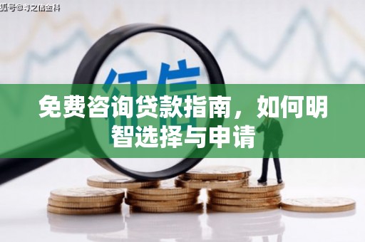 水林免费咨询贷款指南，如何明智选择与申请