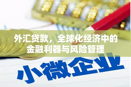 水林外汇贷款，全球化经济中的金融利器与风险管理