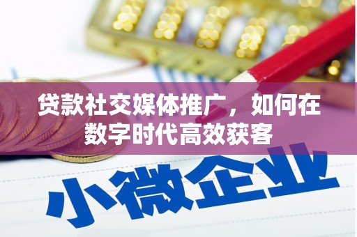 水林贷款社交媒体推广，如何在数字时代高效获客