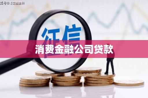 水林消费金融公司贷款