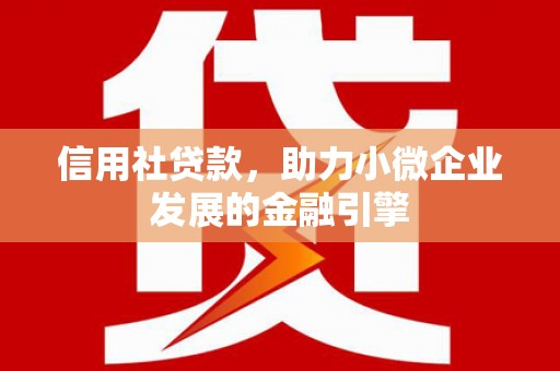 水林信用社贷款，助力小微企业发展的金融引擎
