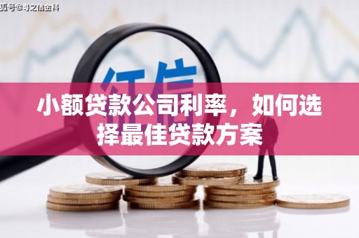 水林小额贷款公司利率，如何选择最佳贷款方案