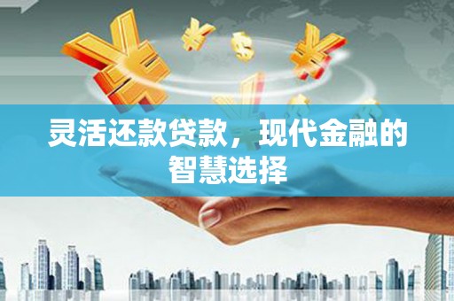 水林灵活还款贷款，现代金融的智慧选择