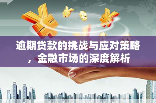 水林逾期贷款的挑战与应对策略，金融市场的深度解析