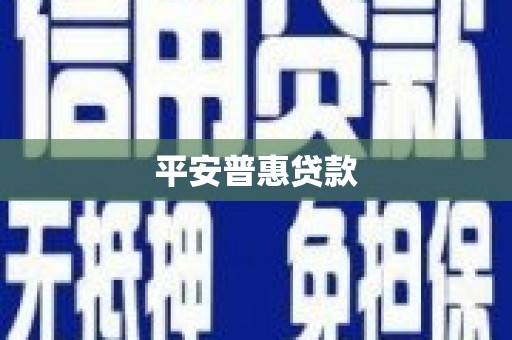 水林平安普惠贷款