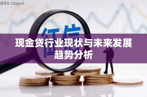 水林现金贷行业现状与未来发展趋势分析