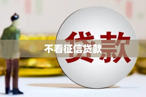 水林不看征信贷款