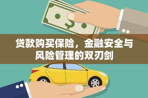 水林贷款购买保险，金融安全与风险管理的双刃剑
