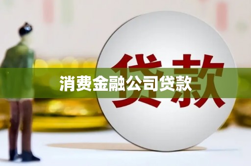 水林消费金融公司贷款