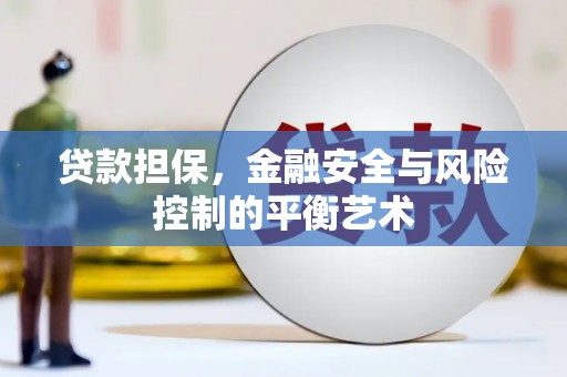 水林贷款担保，金融安全与风险控制的平衡艺术