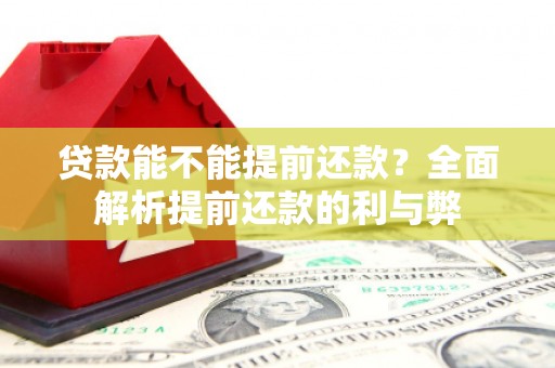 水林贷款能不能提前还款？全面解析提前还款的利与弊