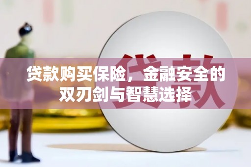水林贷款购买保险，金融安全的双刃剑与智慧选择