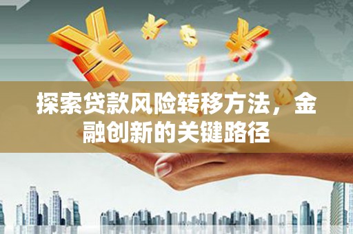 水林探索贷款风险转移方法，金融创新的关键路径