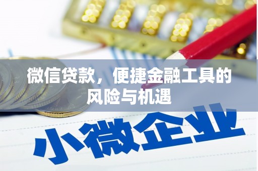 水林微信贷款，便捷金融工具的风险与机遇