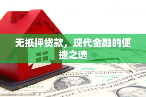 水林无抵押贷款，现代金融的便捷之选