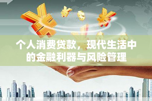 水林个人消费贷款，现代生活中的金融利器与风险管理