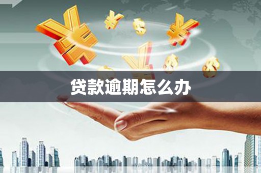 水林贷款逾期怎么办