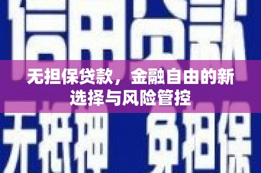 水林无担保贷款，金融自由的新选择与风险管控