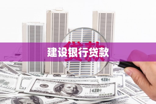 水林建设银行贷款