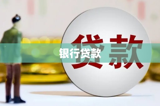 水林银行贷款