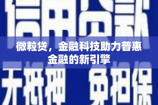水林微粒贷，金融科技助力普惠金融的新引擎