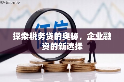 水林探索税务贷的奥秘，企业融资的新选择