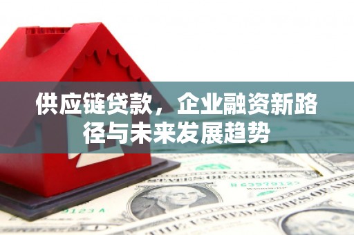 水林供应链贷款，企业融资新路径与未来发展趋势