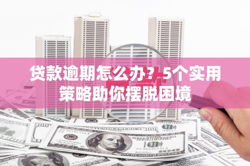 水林贷款逾期怎么办？5个实用策略助你摆脱困境