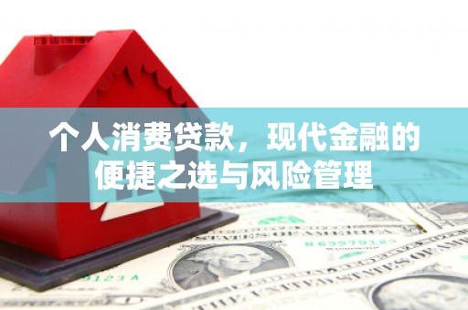 水林个人消费贷款，现代金融的便捷之选与风险管理
