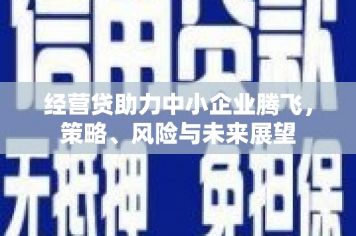 水林经营贷助力中小企业腾飞，策略、风险与未来展望