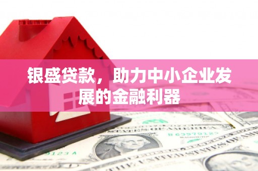 水林银盛贷款，助力中小企业发展的金融利器