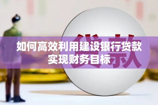 水林如何高效利用建设银行贷款实现财务目标
