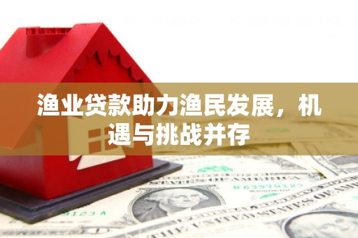 水林渔业贷款助力渔民发展，机遇与挑战并存