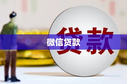 水林微信贷款