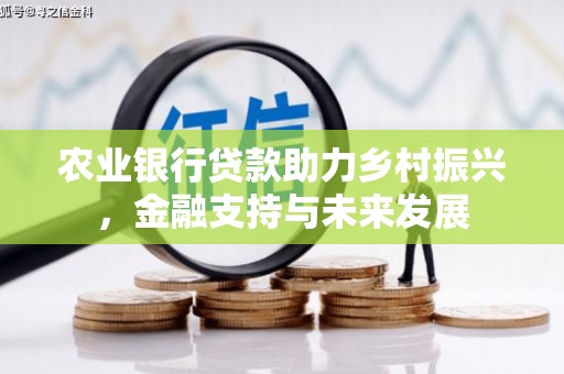 水林农业银行贷款助力乡村振兴，金融支持与未来发展