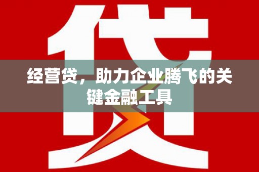 水林经营贷，助力企业腾飞的关键金融工具