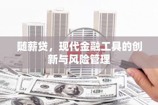水林随薪贷，现代金融工具的创新与风险管理