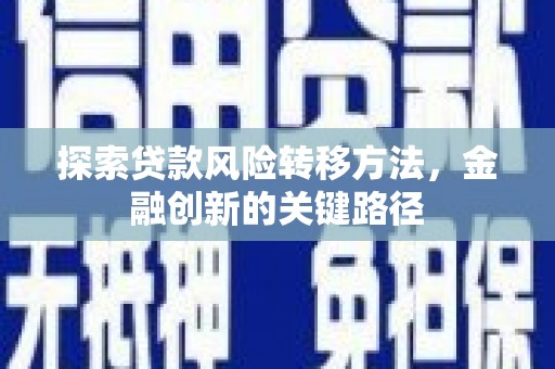水林探索贷款风险转移方法，金融创新的关键路径