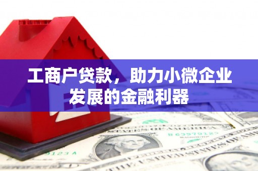 水林工商户贷款，助力小微企业发展的金融利器