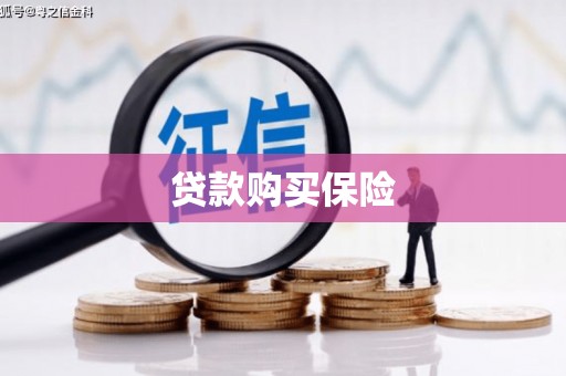 水林贷款购买保险
