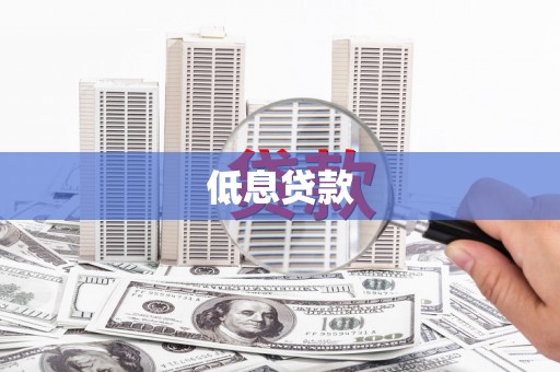 水林低息贷款