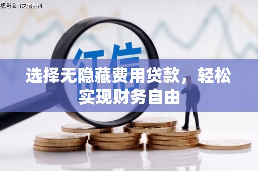 水林选择无隐藏费用贷款，轻松实现财务自由