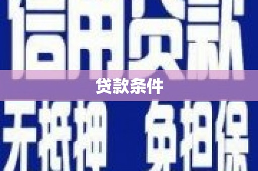 水林贷款条件