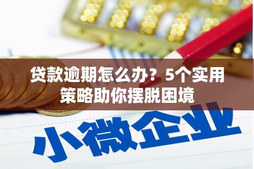 水林贷款逾期怎么办？5个实用策略助你摆脱困境