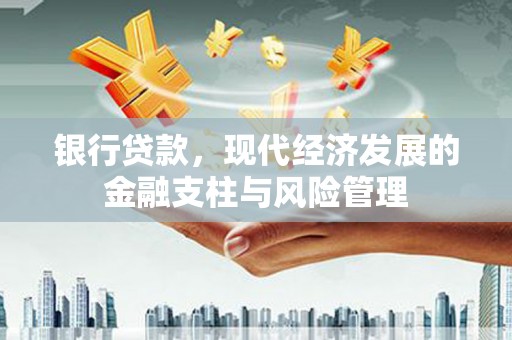 水林银行贷款，现代经济发展的金融支柱与风险管理